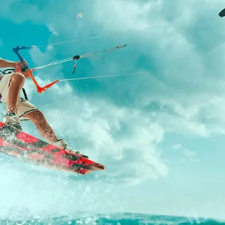 Magnolia B - Apartamento