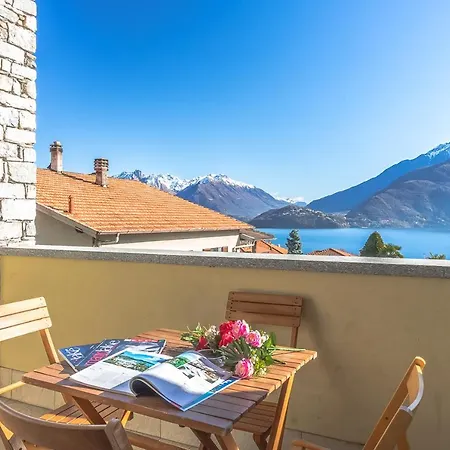 Magnolia B - * Musso