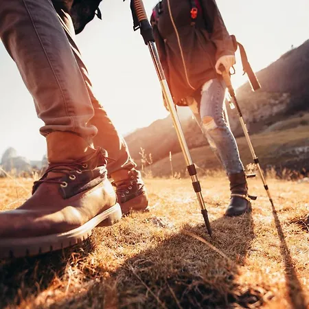 Apartman Magnolia B -