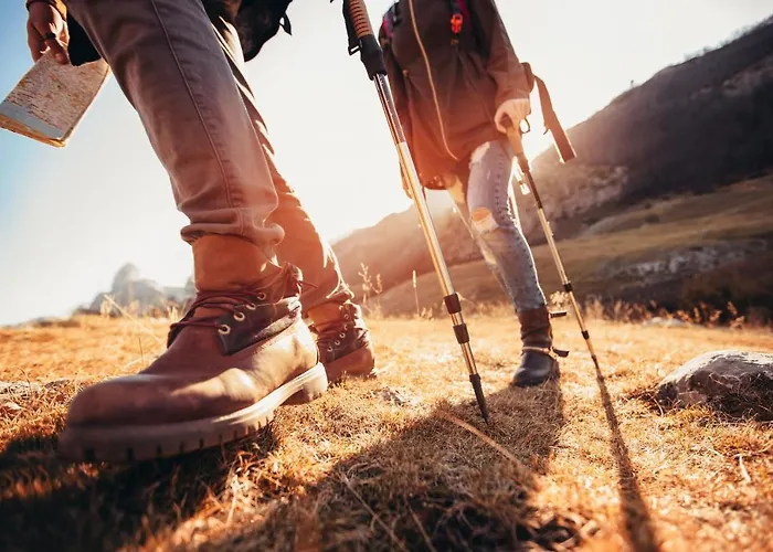 דירה Magnolia B -